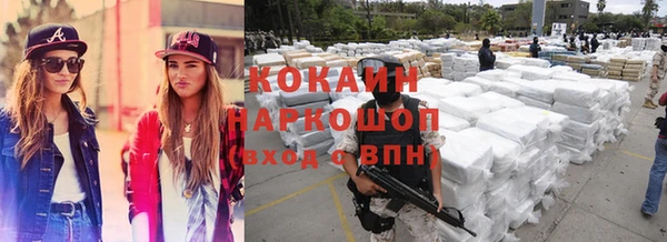 прущие грибы Алзамай