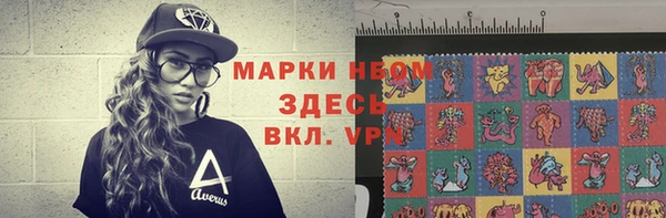 прущие грибы Алзамай
